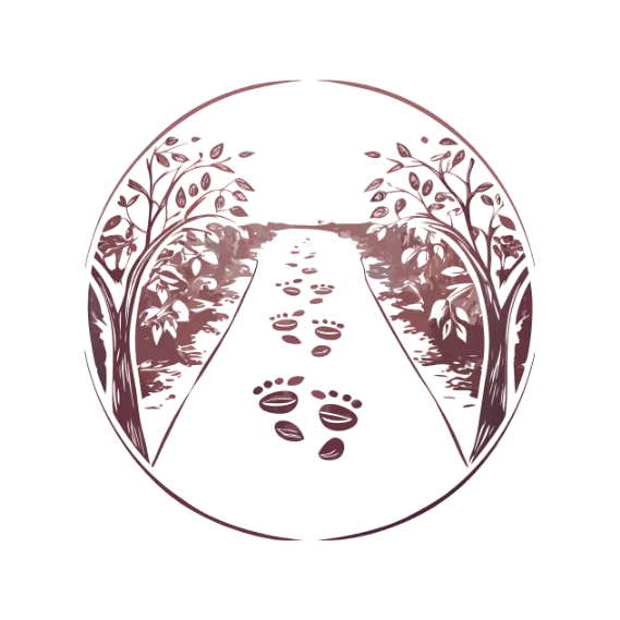 מסע ההחלמה שלי